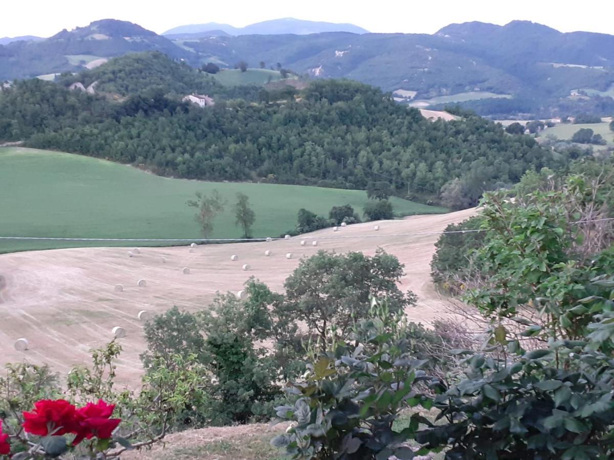 Ca' Gulino - Urbino - Villa Con Minipiscina In Borgo Antico エクステリア 写真