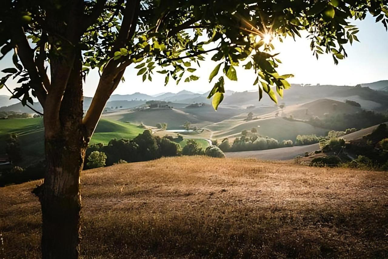 Ca' Gulino - Urbino - Villa Con Minipiscina In Borgo Antico エクステリア 写真