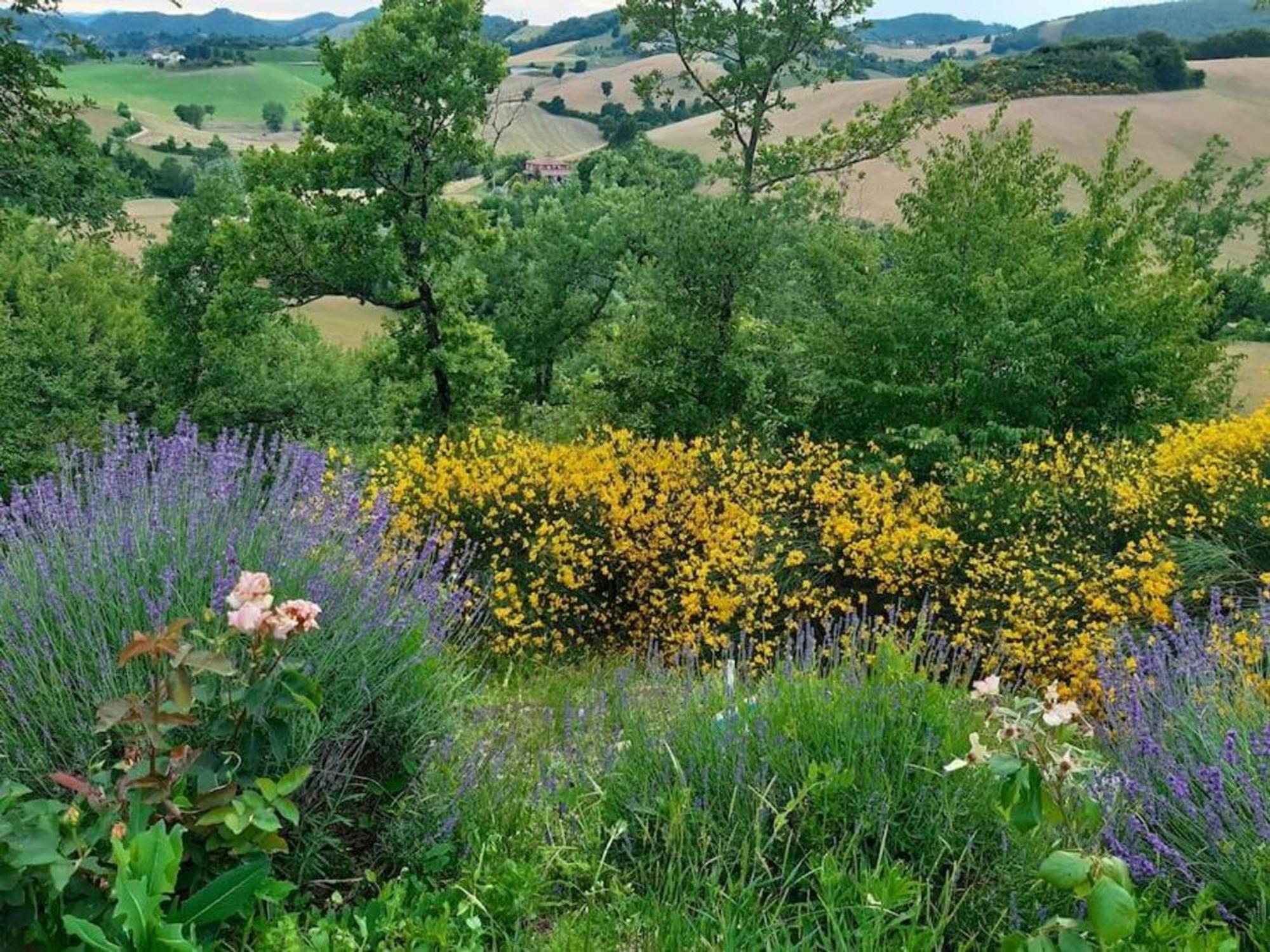 Ca' Gulino - Urbino - Villa Con Minipiscina In Borgo Antico エクステリア 写真