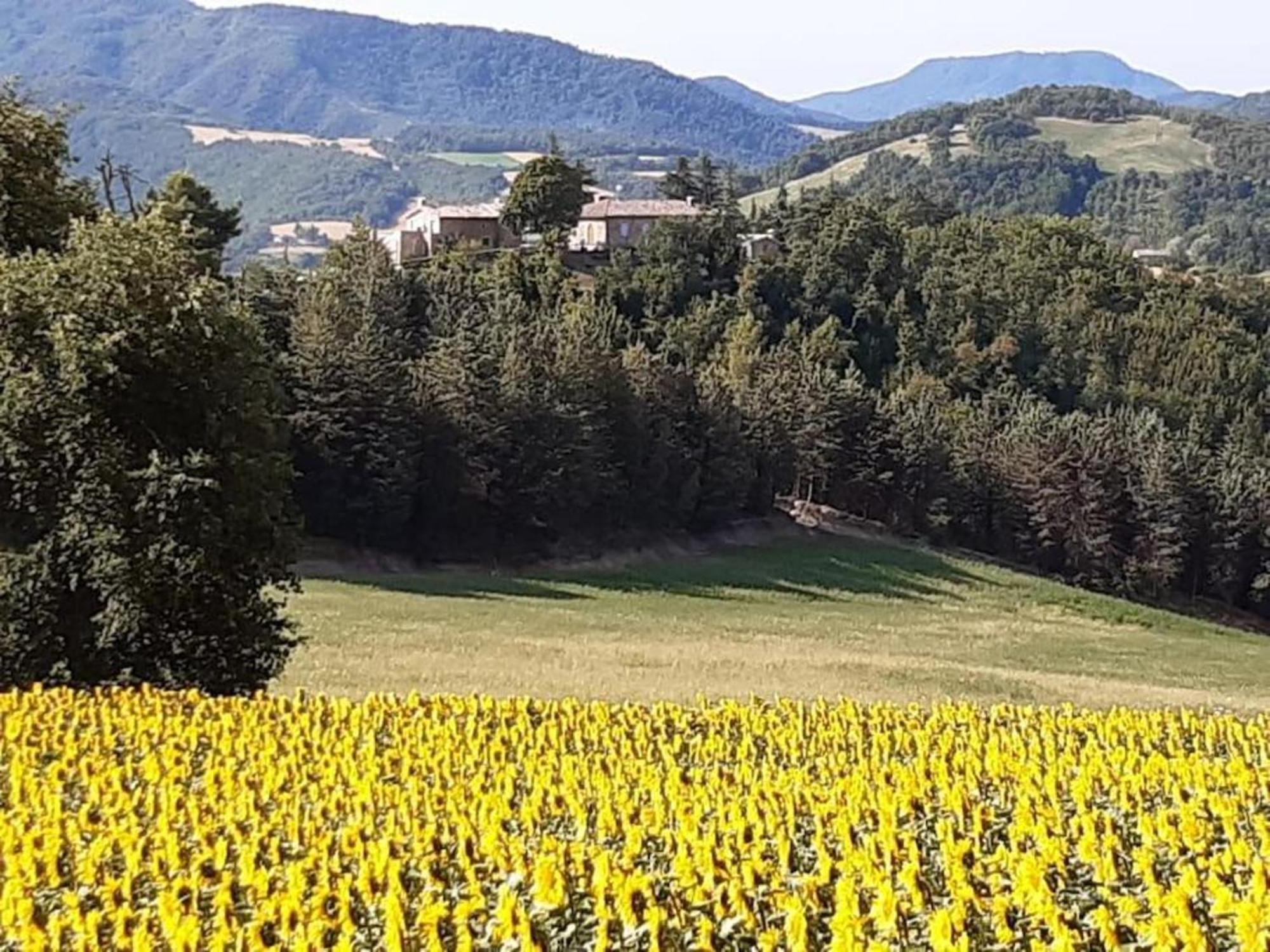 Ca' Gulino - Urbino - Villa Con Minipiscina In Borgo Antico エクステリア 写真